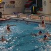 Herts & District Water Polo Knockout Competition Nov 2015